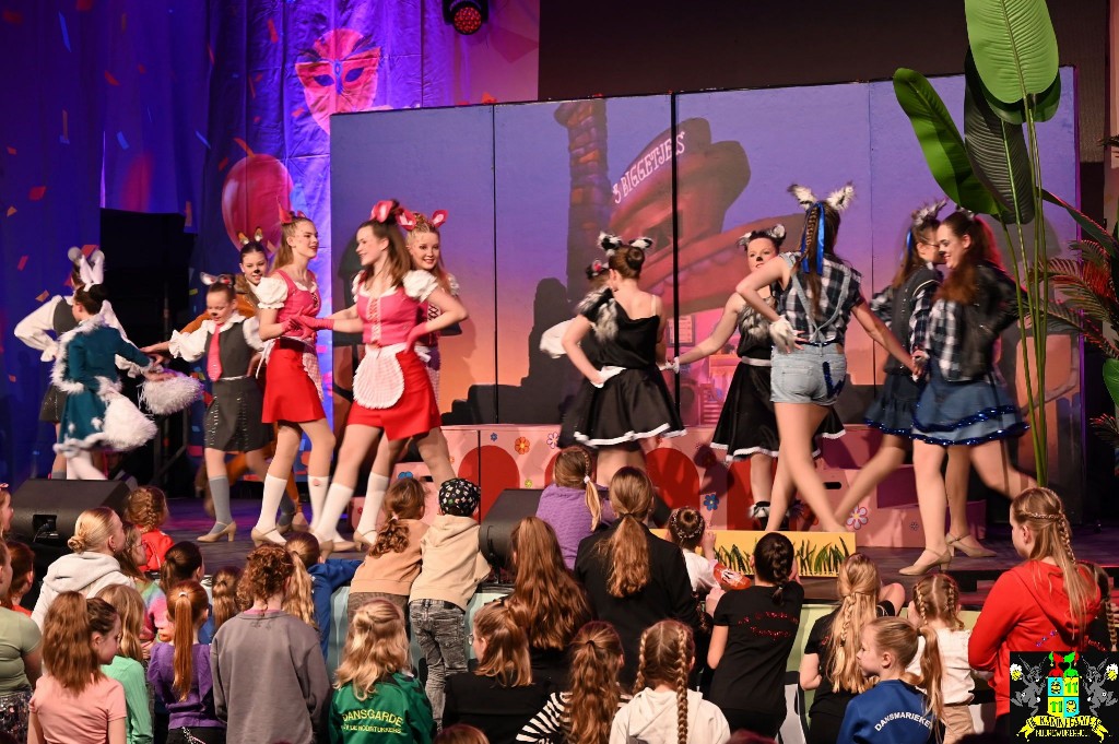 ../Images/Dansmariekefestival 2025 332.jpg